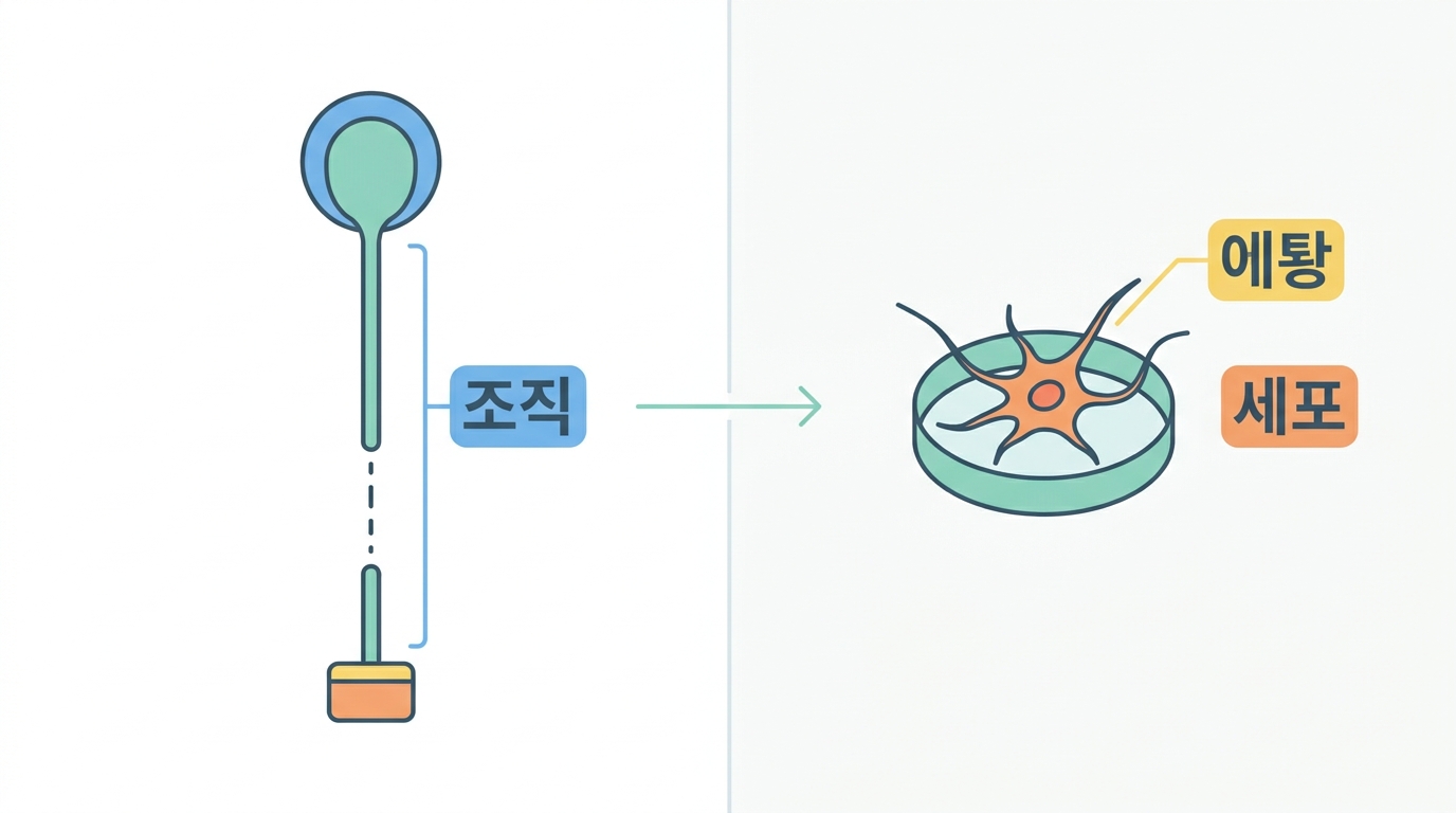 손박사의 Answer ALS 첫걸음