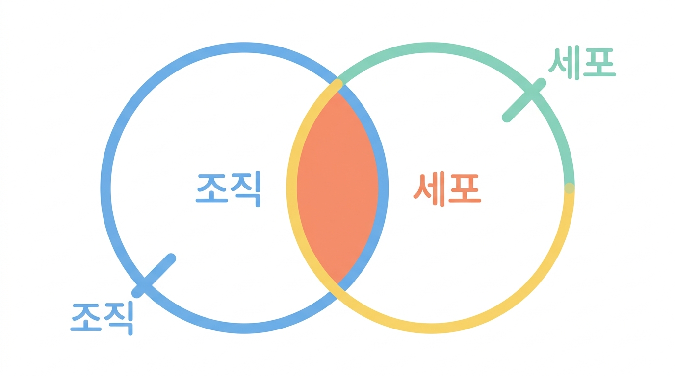 두 층을 겹친다 — 조직에서 보이고 세포에서도 보이는 것