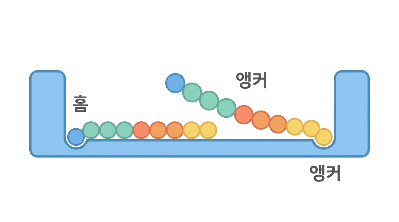 MHC-I 의 구조 — 양끝이 막힌 홈