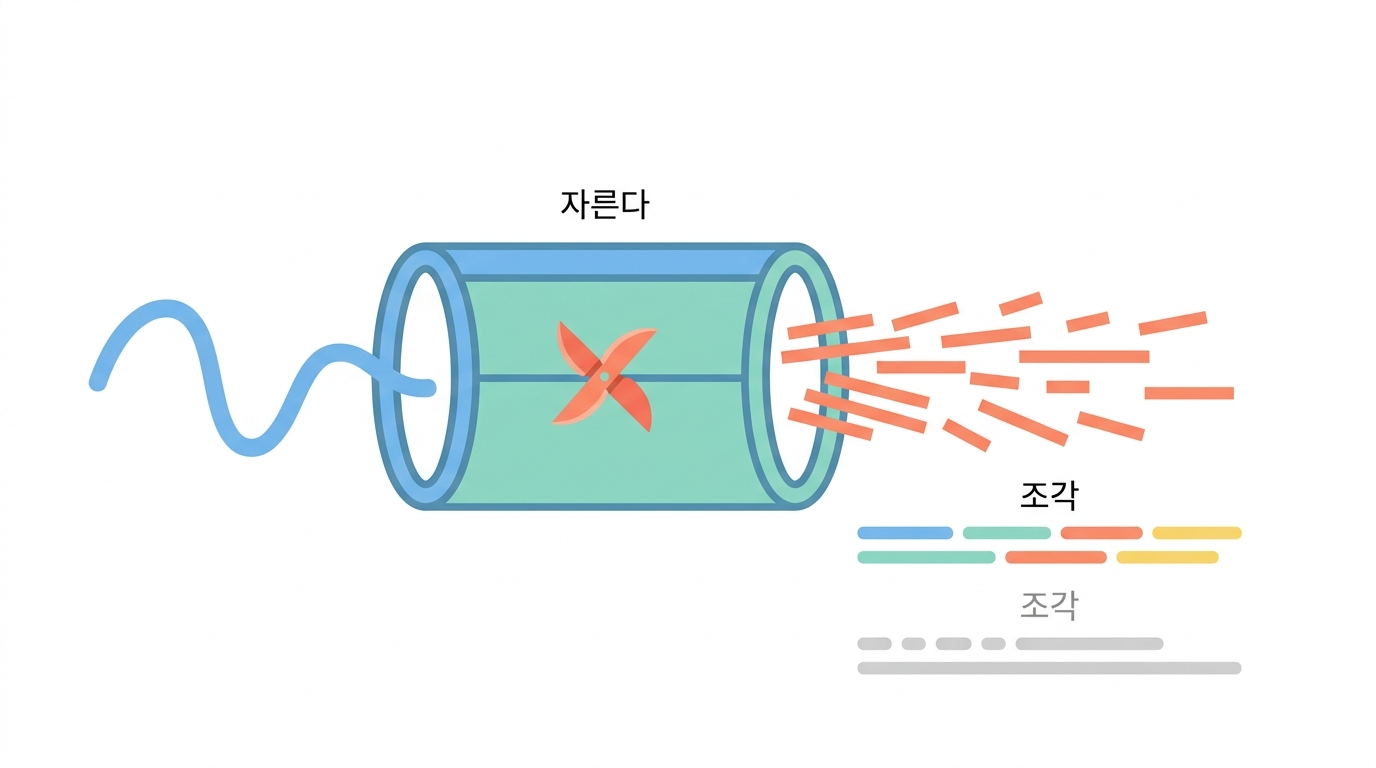 프로테아좀 — 쓰레기 처리장이 정보원이 되다