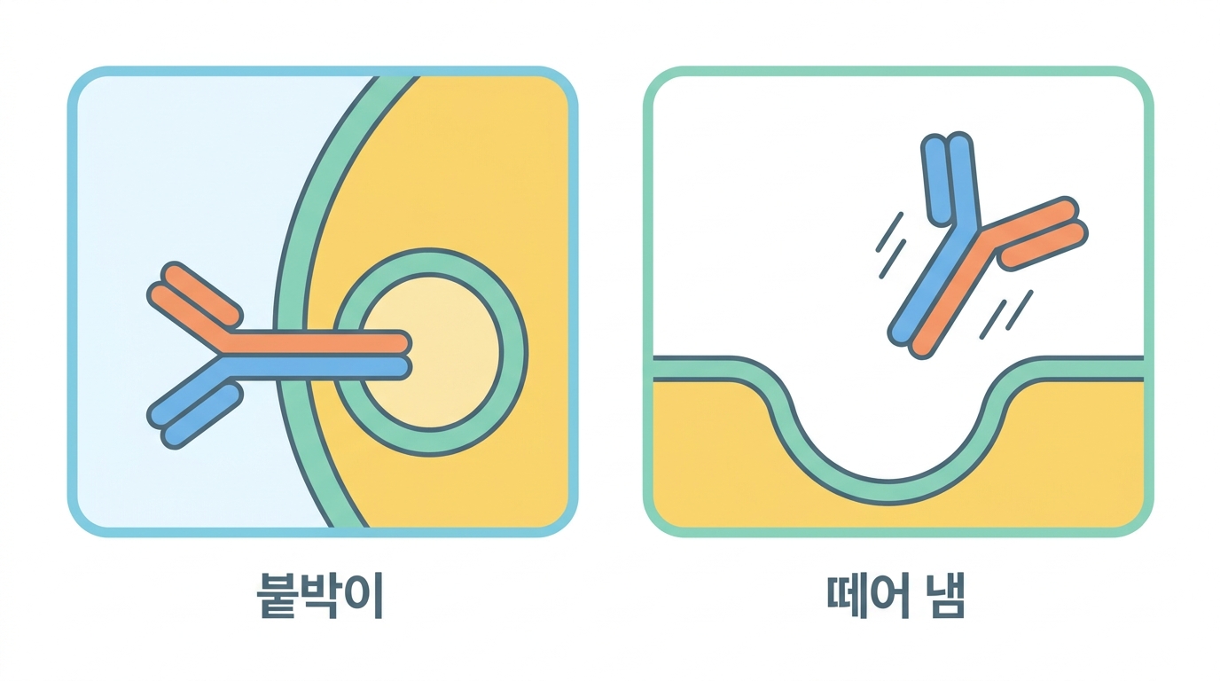 두 번째 수용체 — 몸 밖으로 내보낼 수 있는 것