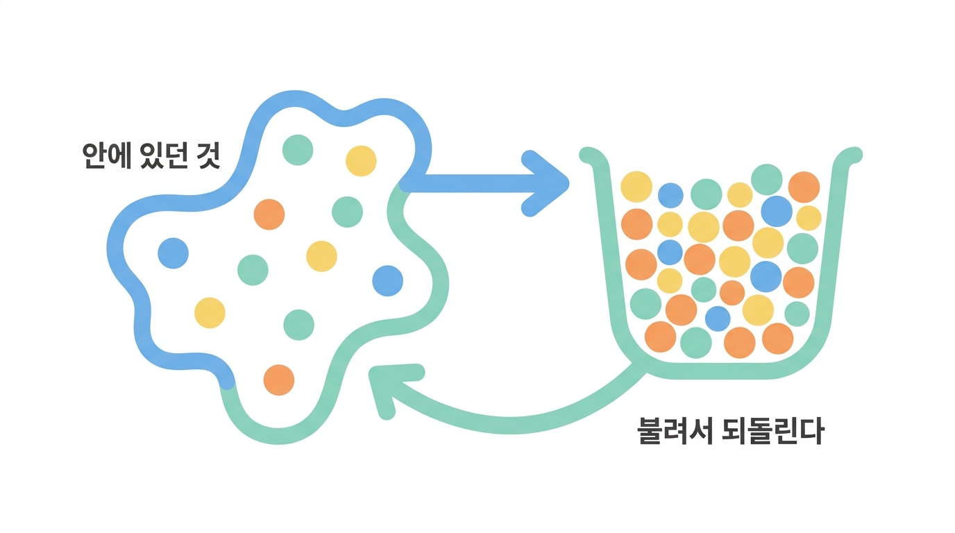 TIL 치료 — 이미 들어가 있던 세포를 꺼내 불린다