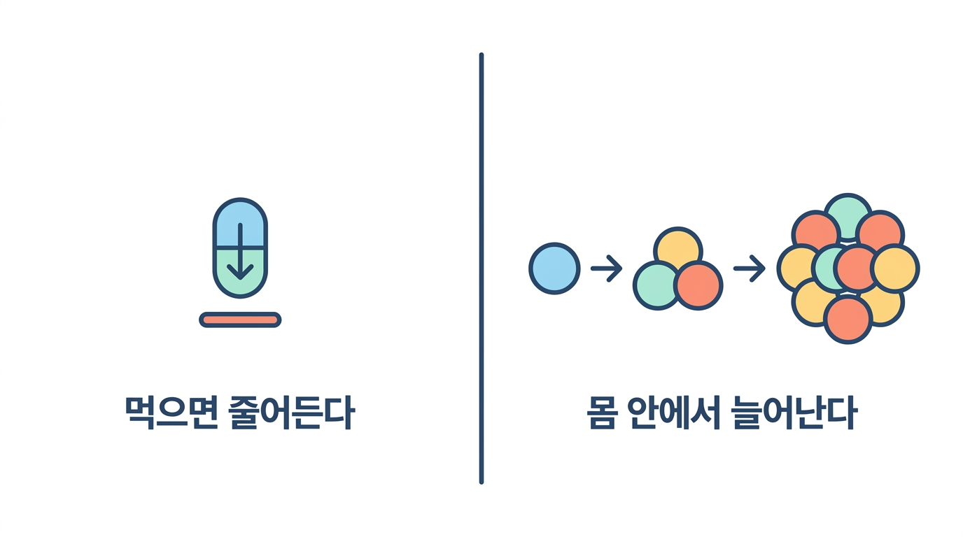 살아 있는 약 — 먹으면 줄어드는 것과 늘어나는 것
