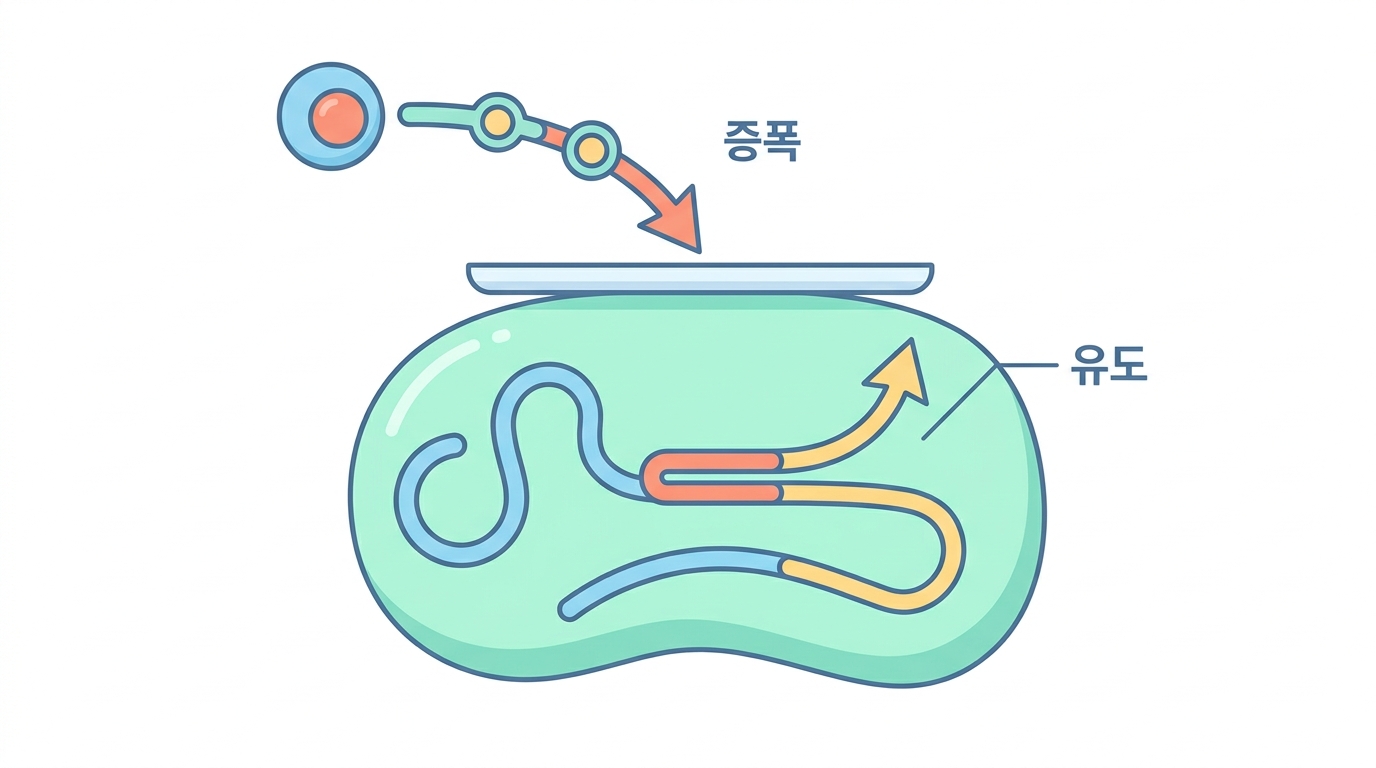 PD-L1 을 켜는 것들 — 유도성과 유전적 증폭