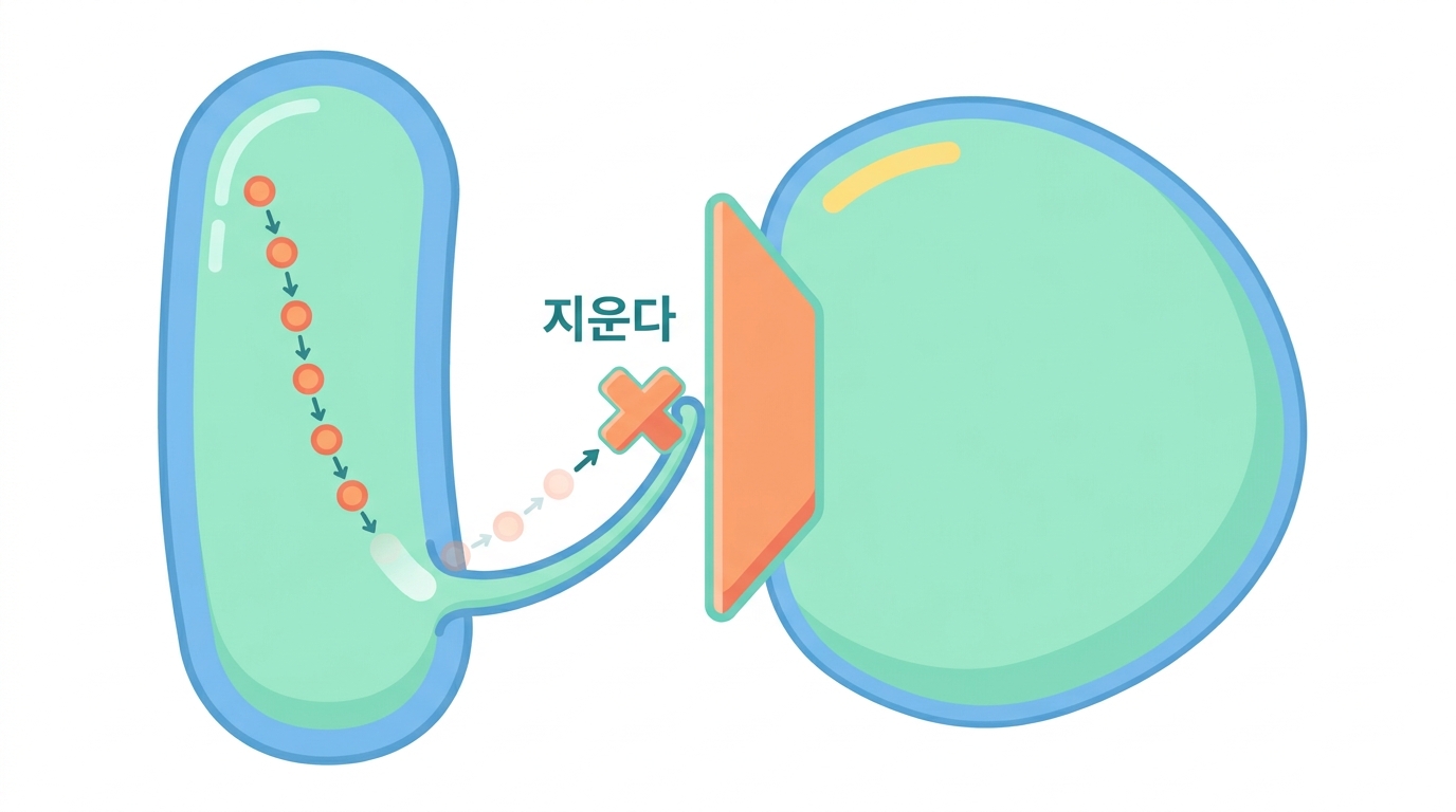 PD-1 과 PD-L1 — 현장에서 걸리는 브레이크