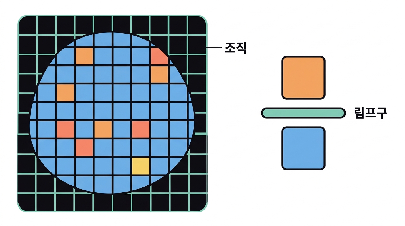 TIL 정량 — 50 µm 칸마다 있나 없나