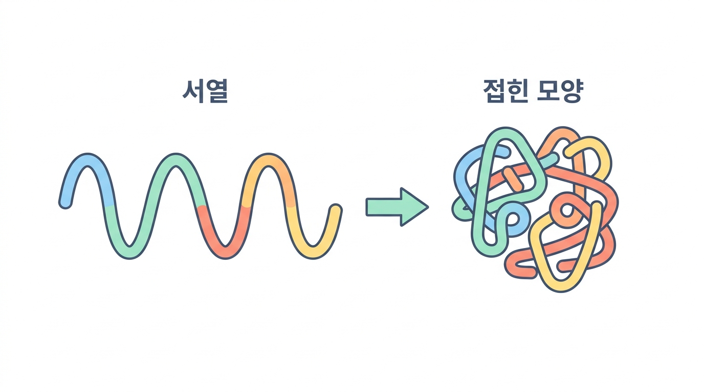단백질 — 서열에서 접힌 모양으로