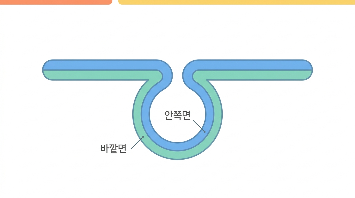 엔도솜이 생긴다 — 안쪽이 왜 아직 바깥인가