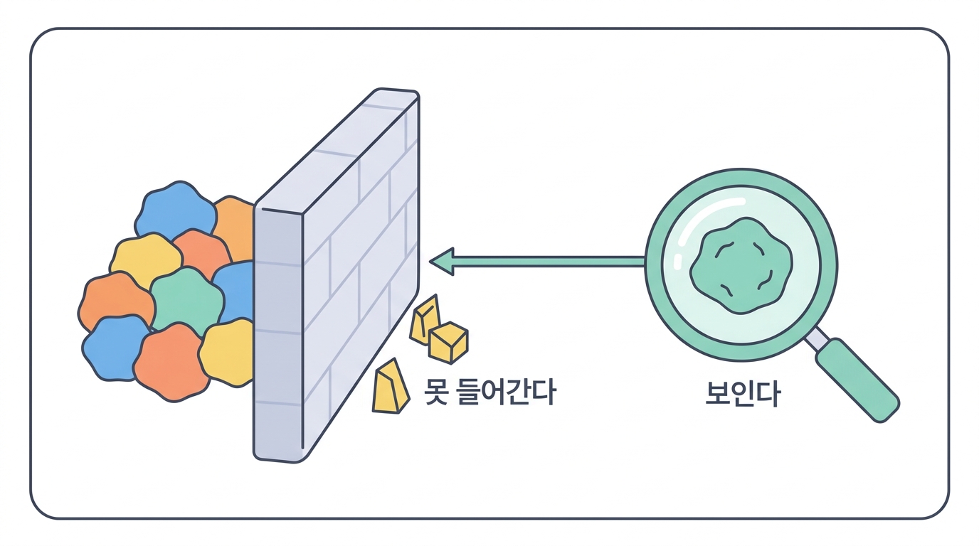 이교수의 암 면역회피 첫걸음