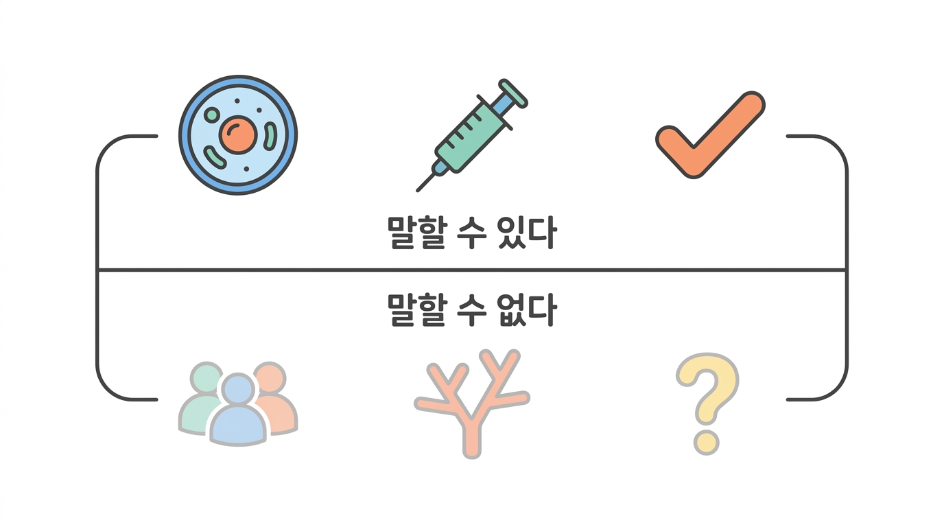 정리 — 말할 수 있는 것과 말할 수 없는 것