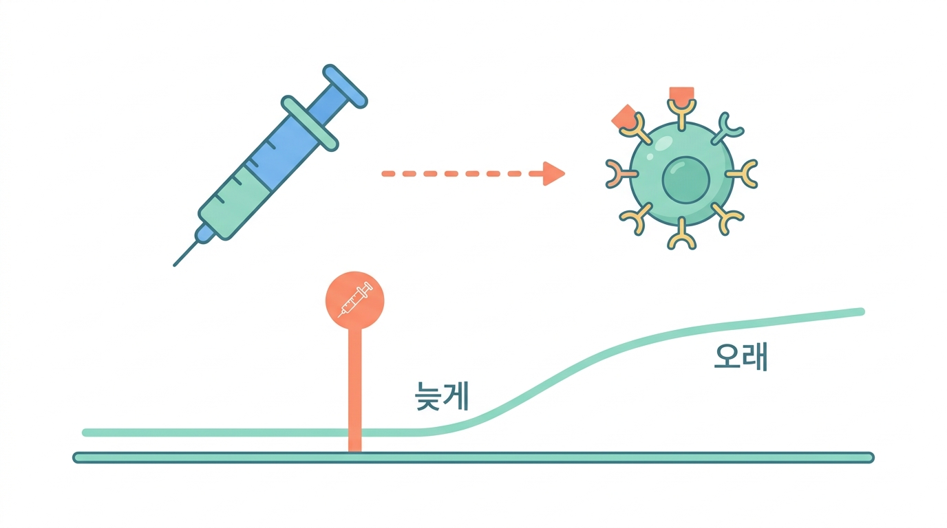 면역관문억제제 — 실제로 무엇을 하는 약인가