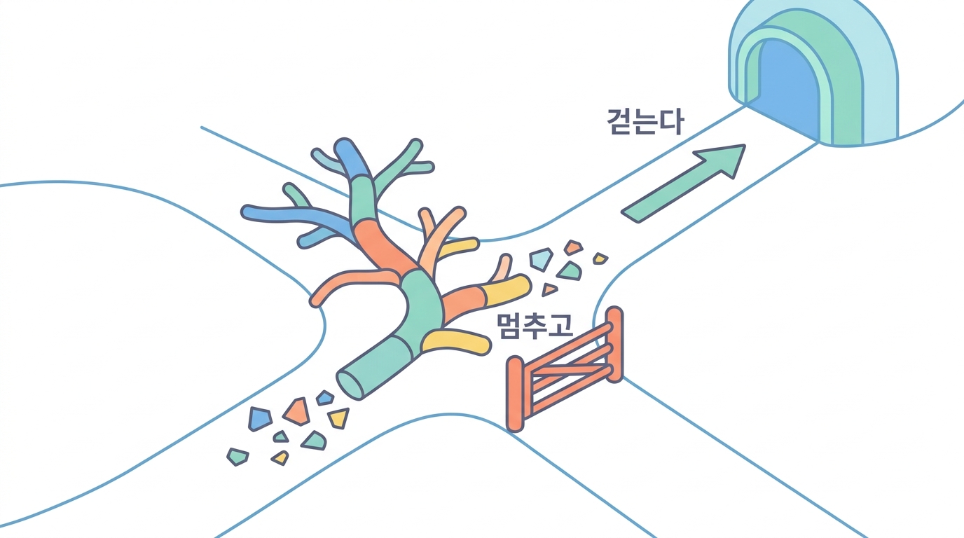성숙과 이동 — CCR7 이 켜지는 순간