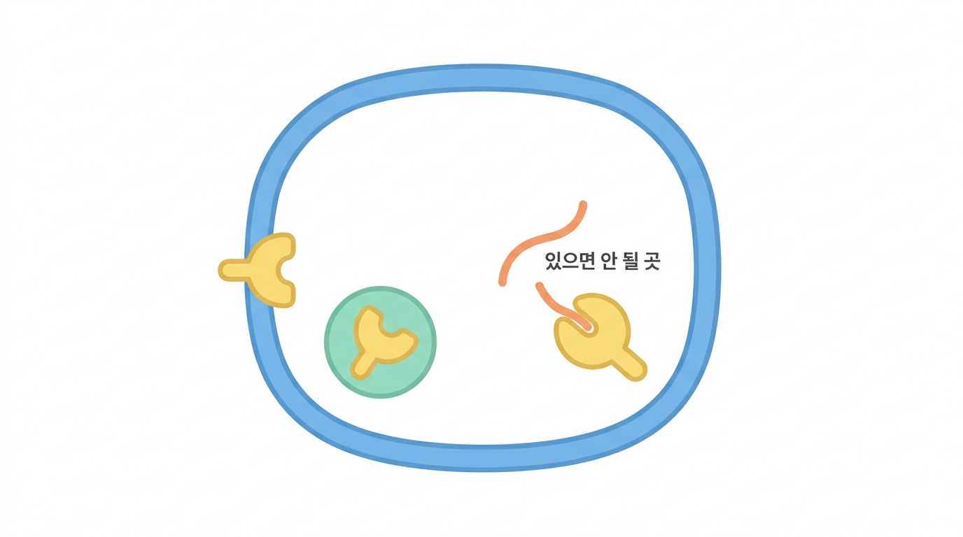 패턴 인식 — TLR 과 cGAS-STING
