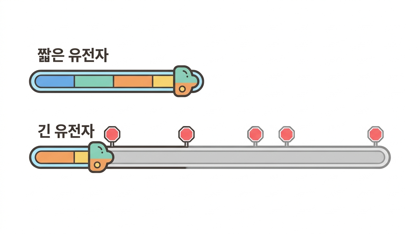 CDK12 — 없던 약점을 만들어 낸다