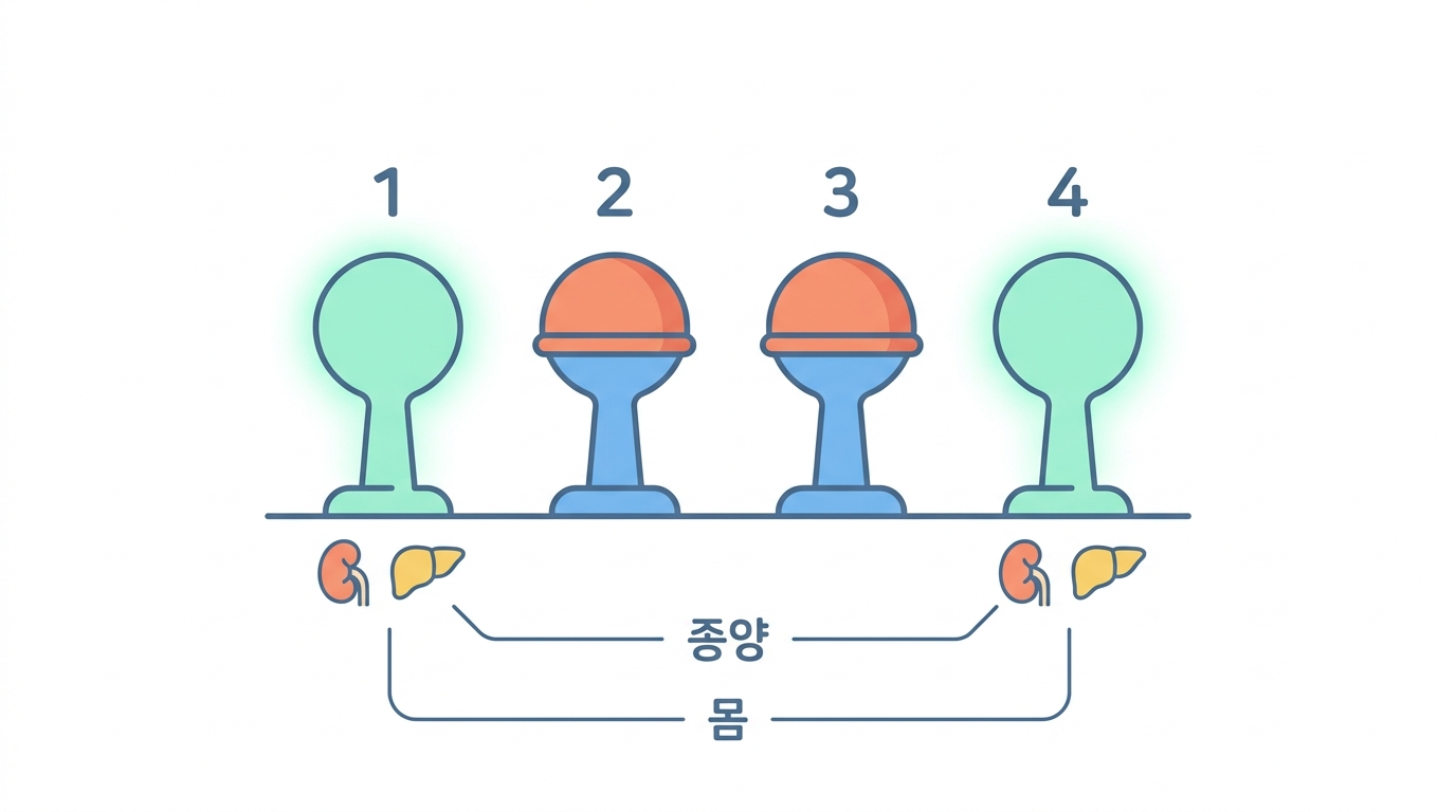 FGFR2/3 — 형제 넷 중 둘만 골라 막는다