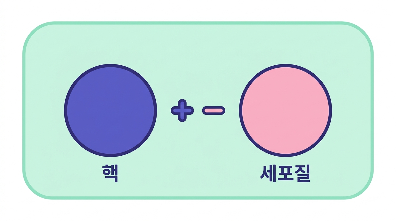 H&E — 산·염기 염색의 교과서