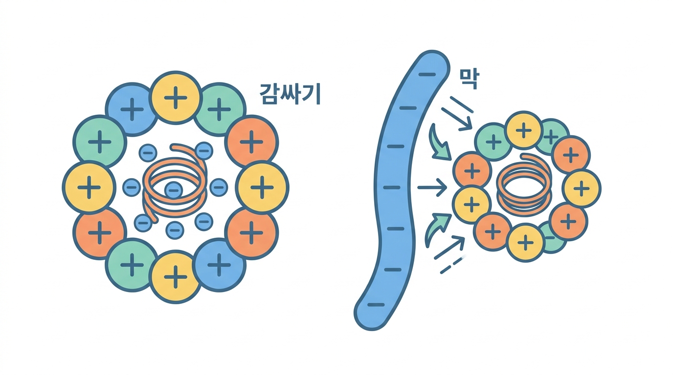 지질 트랜스펙션 — 양이온이 음이온을 싣는다