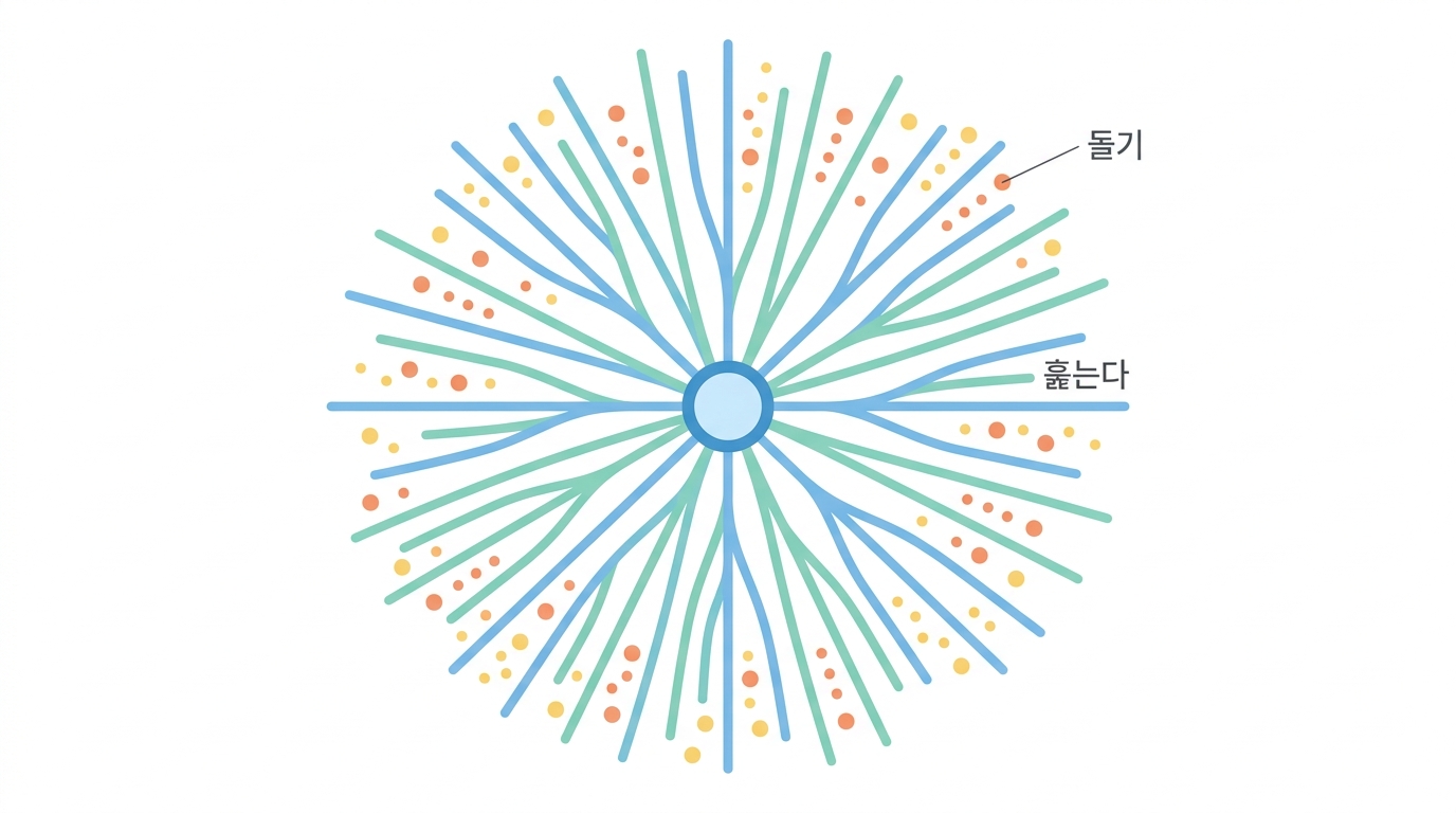 수지상세포 — 정찰병이자 전령