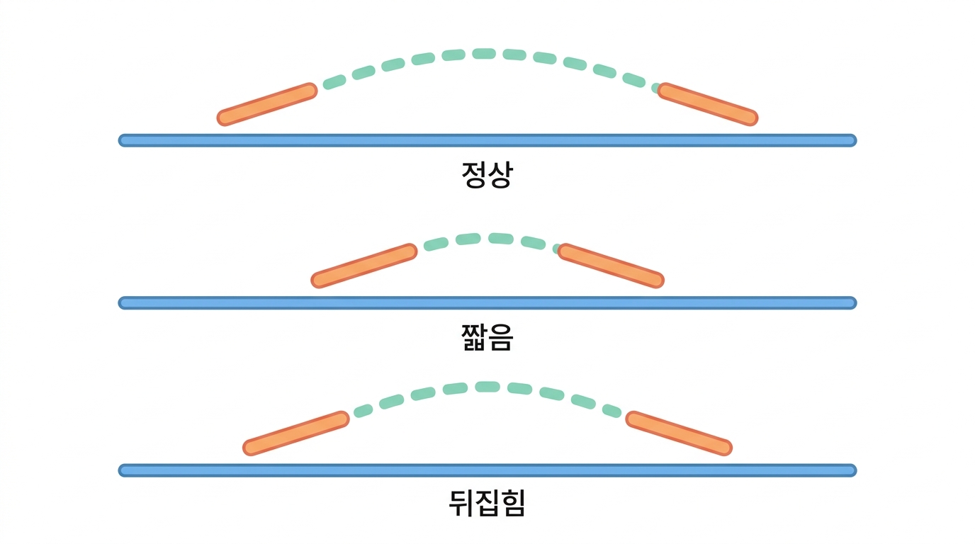 짝이 위치를 정한다 — 인서트 크기