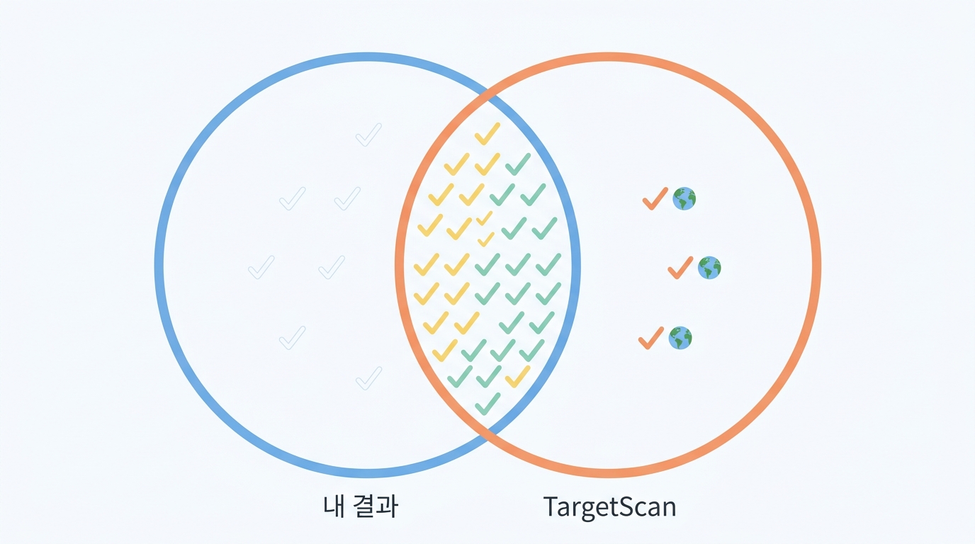 내 결과 대 TargetScan — 516 과 436