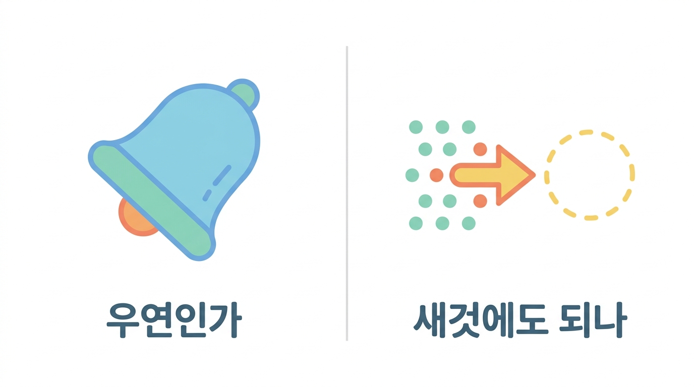 우연인가와 새것에도 되나 — 다른 물음이다