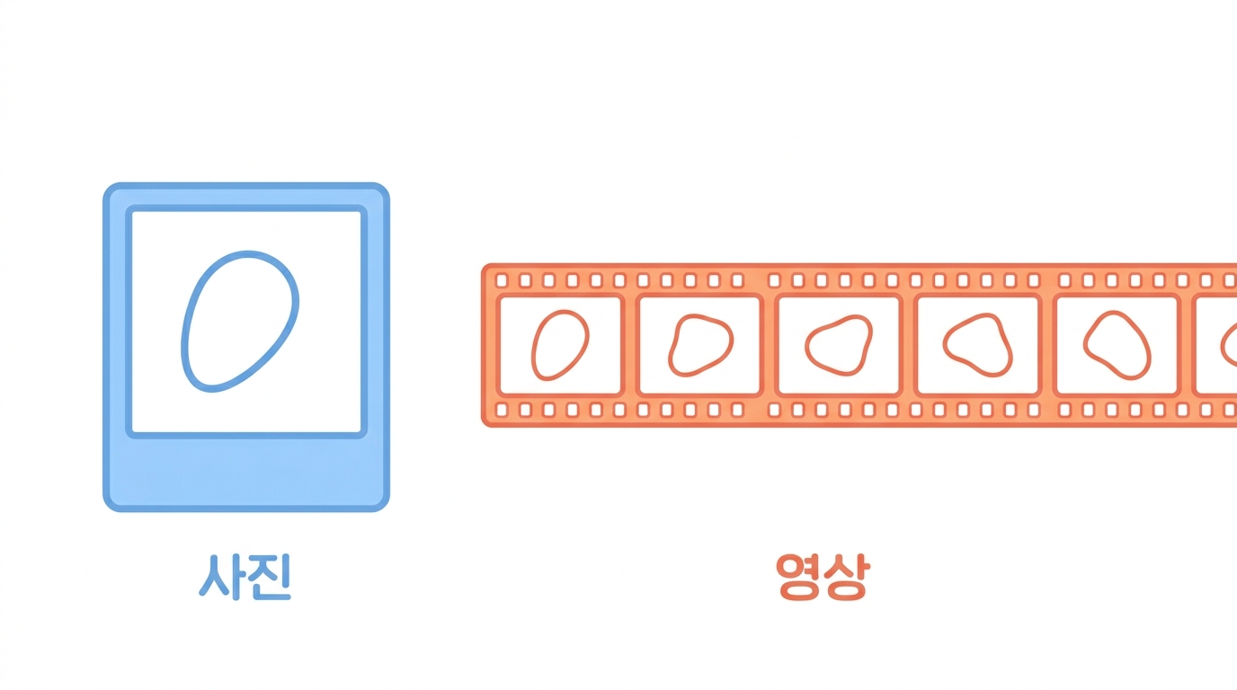 OpenMM — 사진 한 장에서 100나노초짜리 영상으로