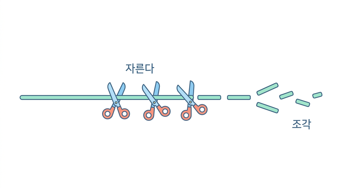 DNase — 주형을 지운다