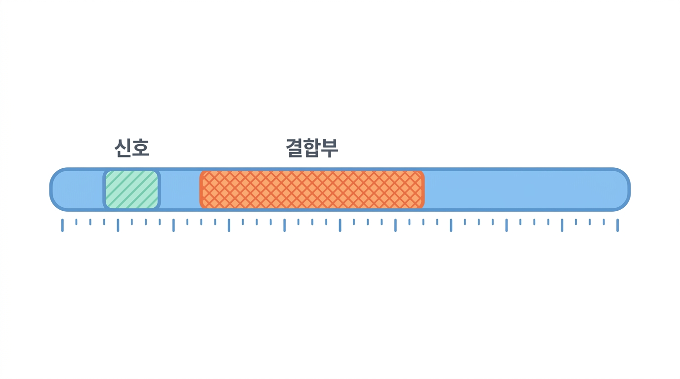 RBD 백신 — 가운데 글자만 갈아 끼운다