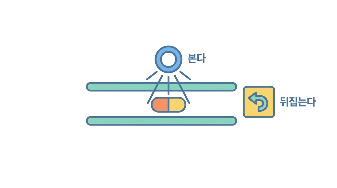 분광계가 밸브를 뒤집는다 — 시간을 흐름으로 정하기
