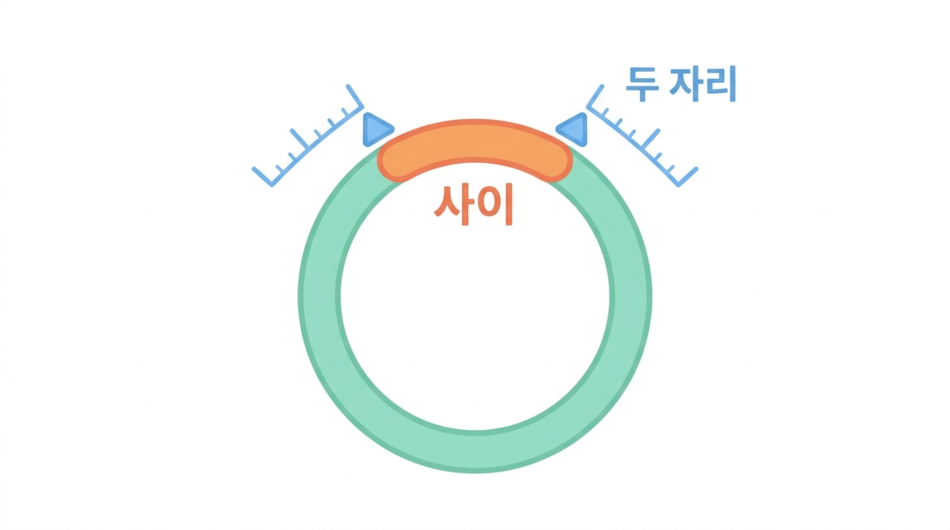 Fig. 10 읽기 — XhoI(158) 과 BamHI(1091)