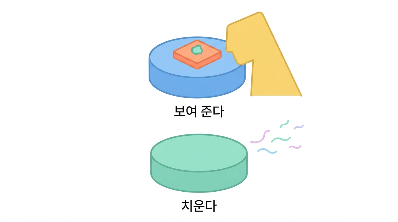먹은 다음 — 항원제시하는 대식세포와 안 하는 대식세포