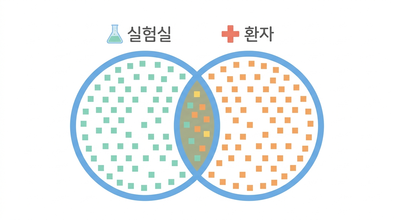 클러스터에서 질환으로 — ZAP70 과 자가면역 일곱