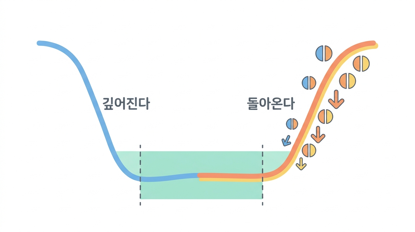 넉다운의 시간창 — 왜 48~72시간에 재나
