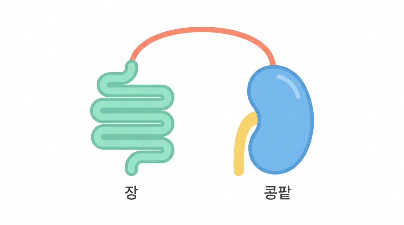 한 줄이 두 병을 가리킨다