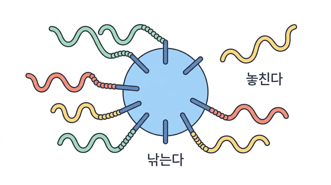 oligo d(T)₂₅ 비드 — 꼬리를 낚는 시약, 그리고 “3.2 µL 의 2.0 mM”