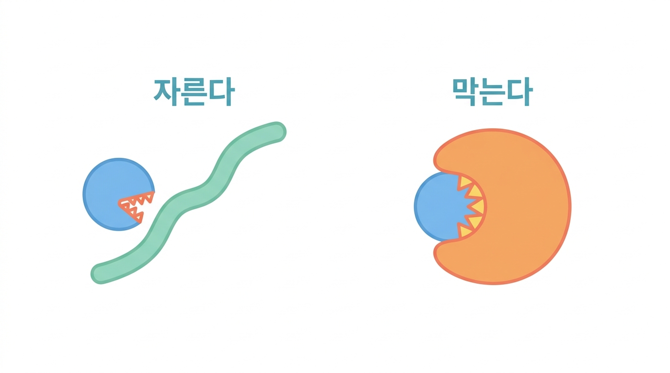 RNase 억제제 0.5 U/µL — 적을 막는 시약