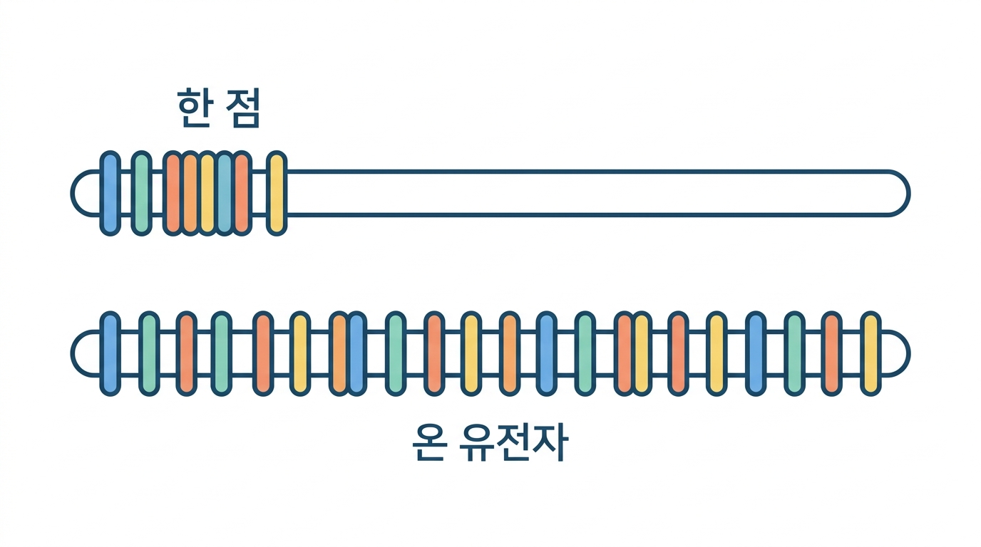 몰려 있는가 흩어져 있는가 — 핫스팟의 모양