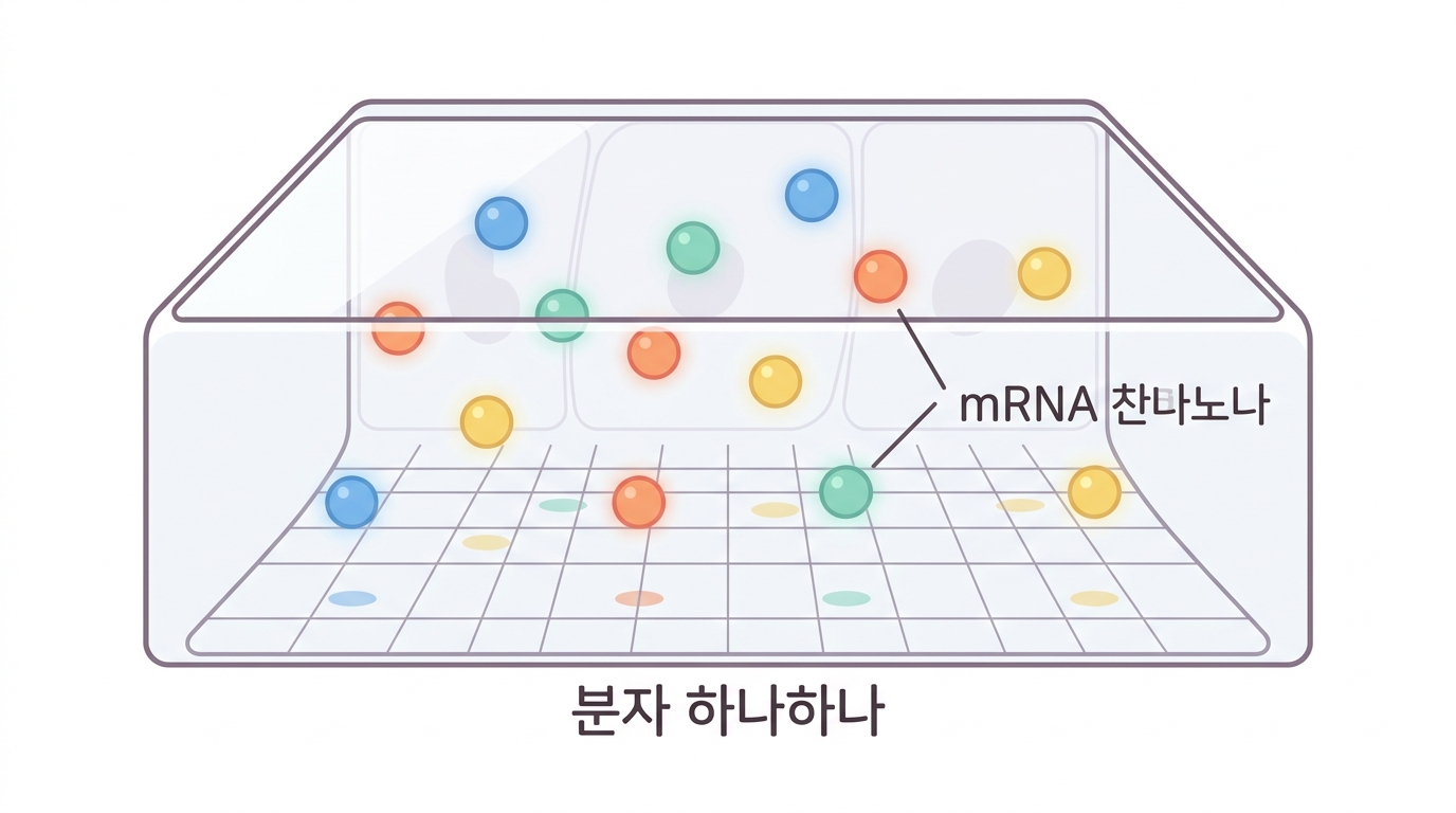 분자 하나하나 — 자료의 진짜 최소 단위