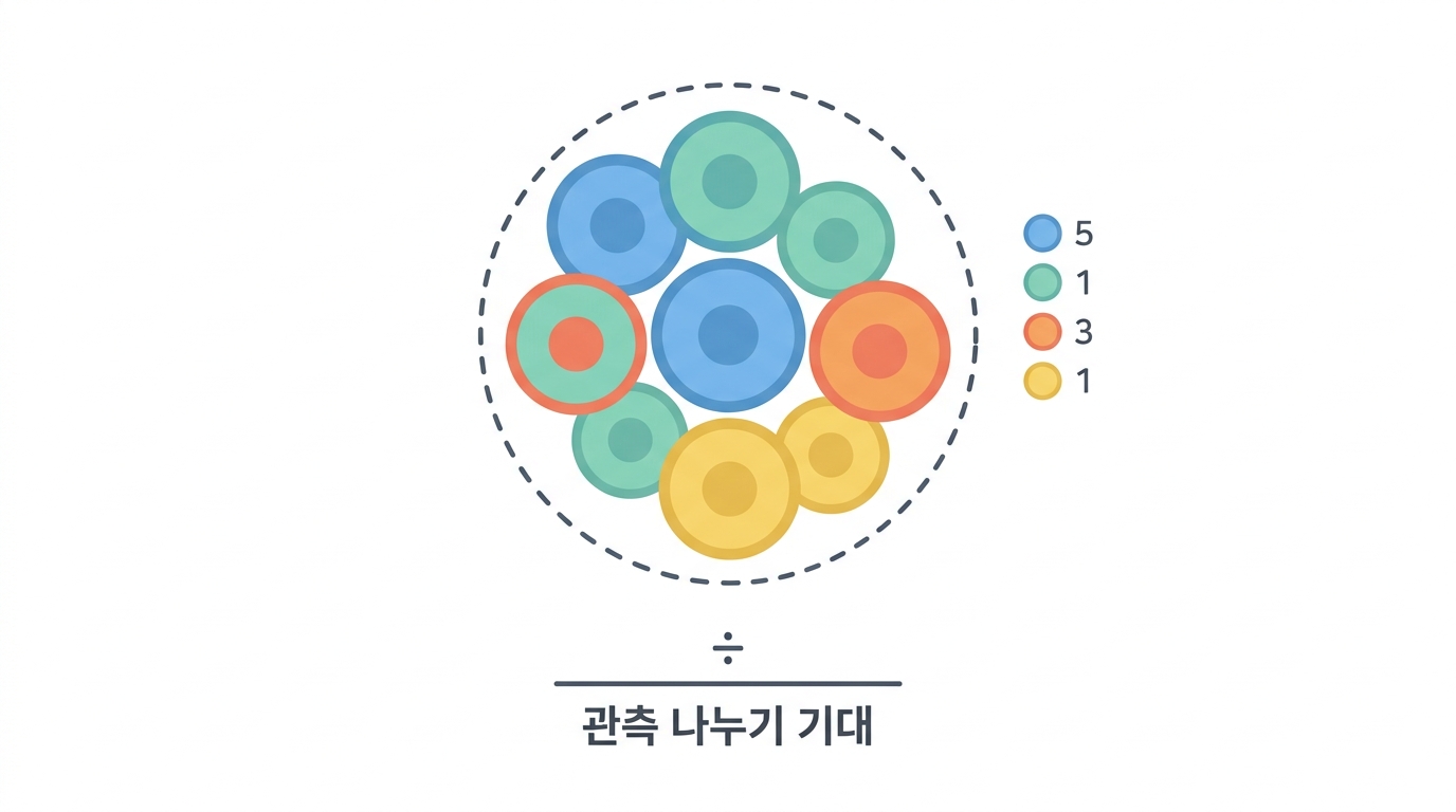 이웃 분석 — 누가 누구 옆에 있는가