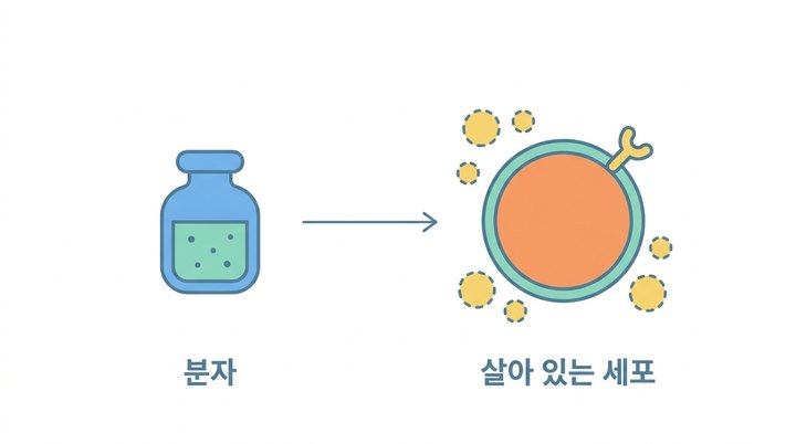 세포치료 첫걸음