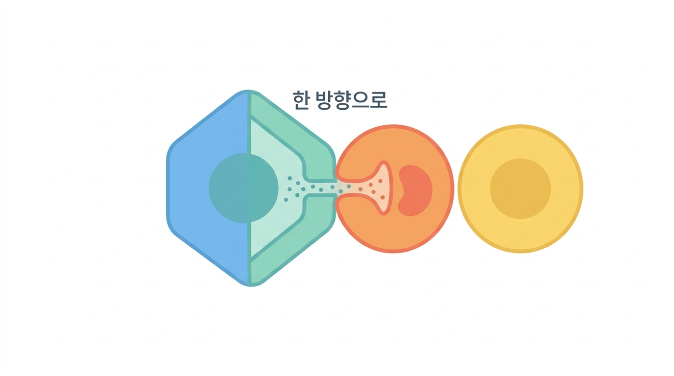 CD8 세포독성 — 죽이는 방법 두 가지