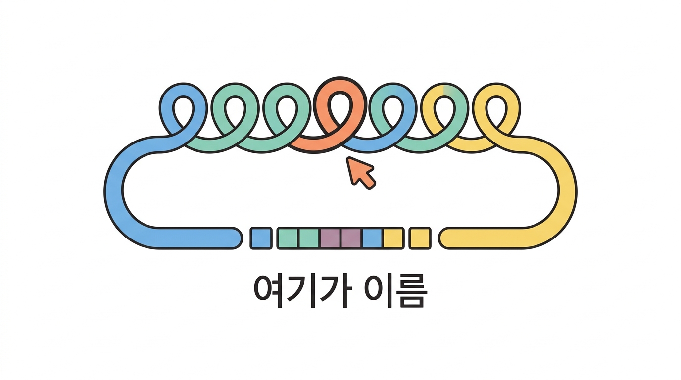 CDR3 — 다양성이 모이는 자리