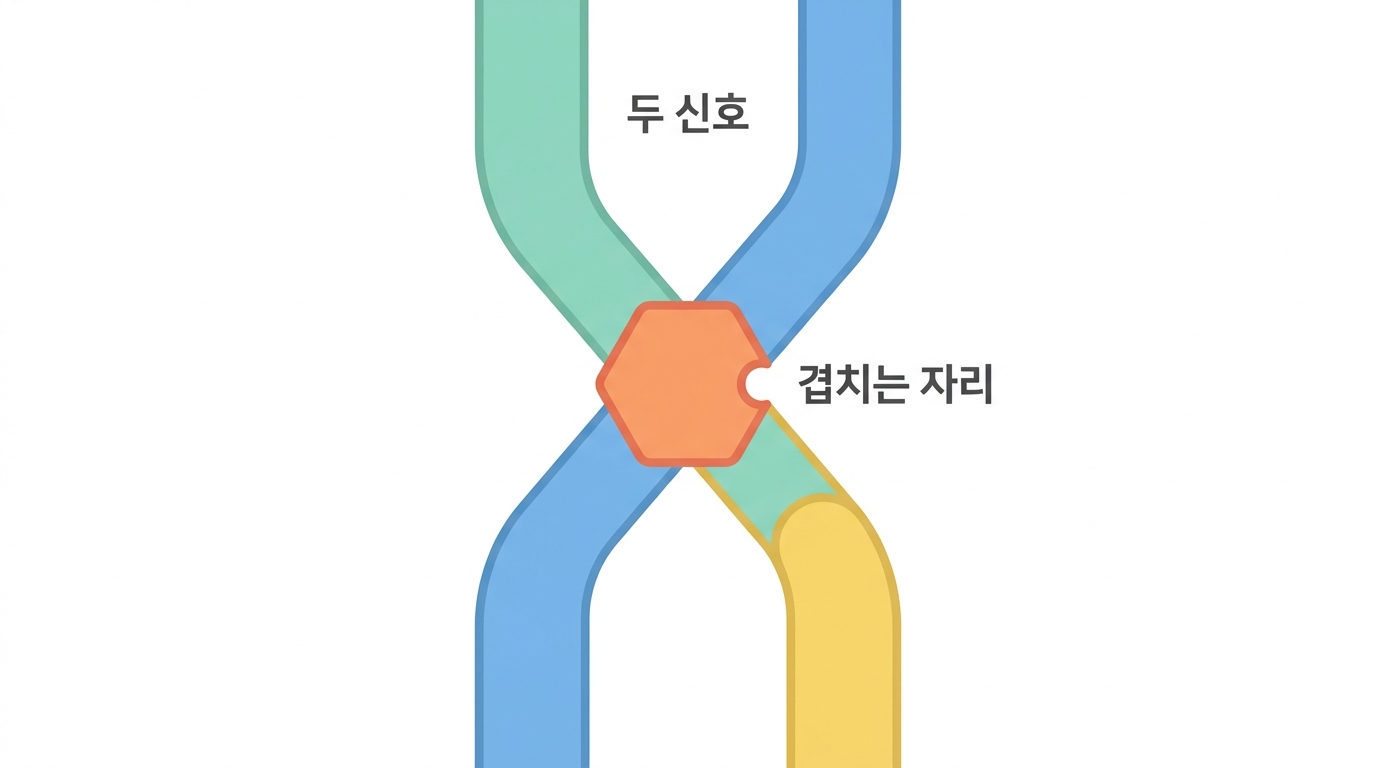 TNIK 이라는 유전자 — Wnt 위에 앉은 인산화효소