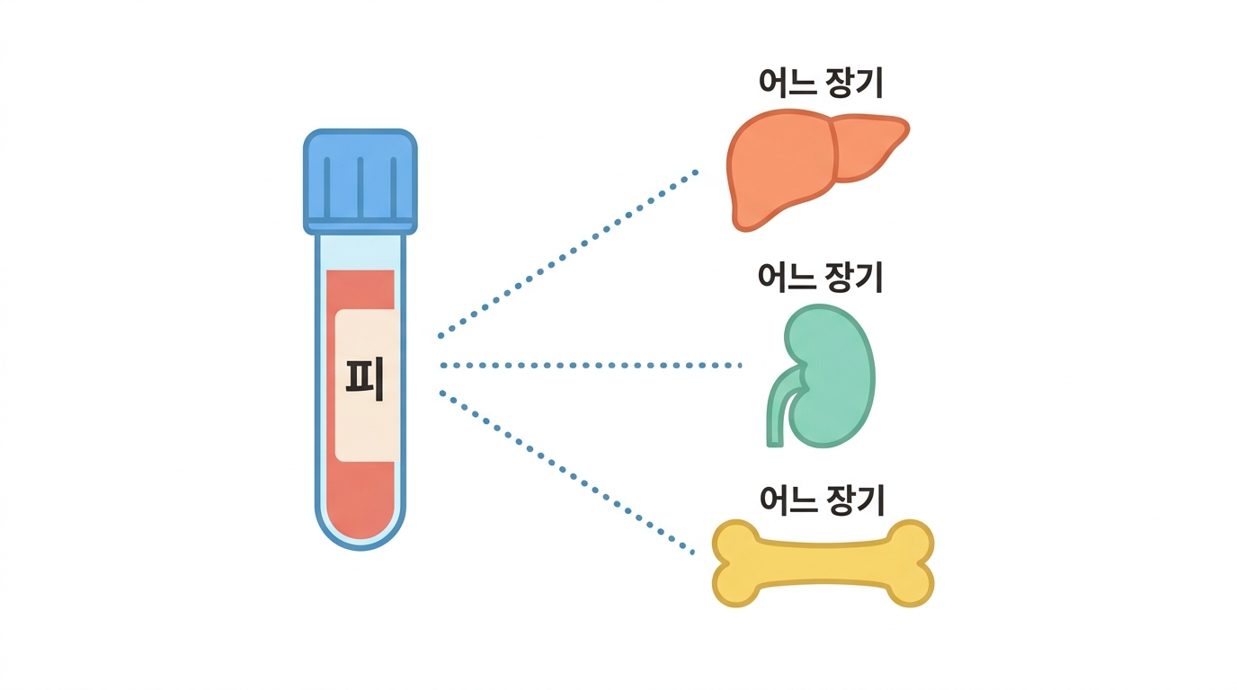 임상병리 — 피가 알려 주는 것