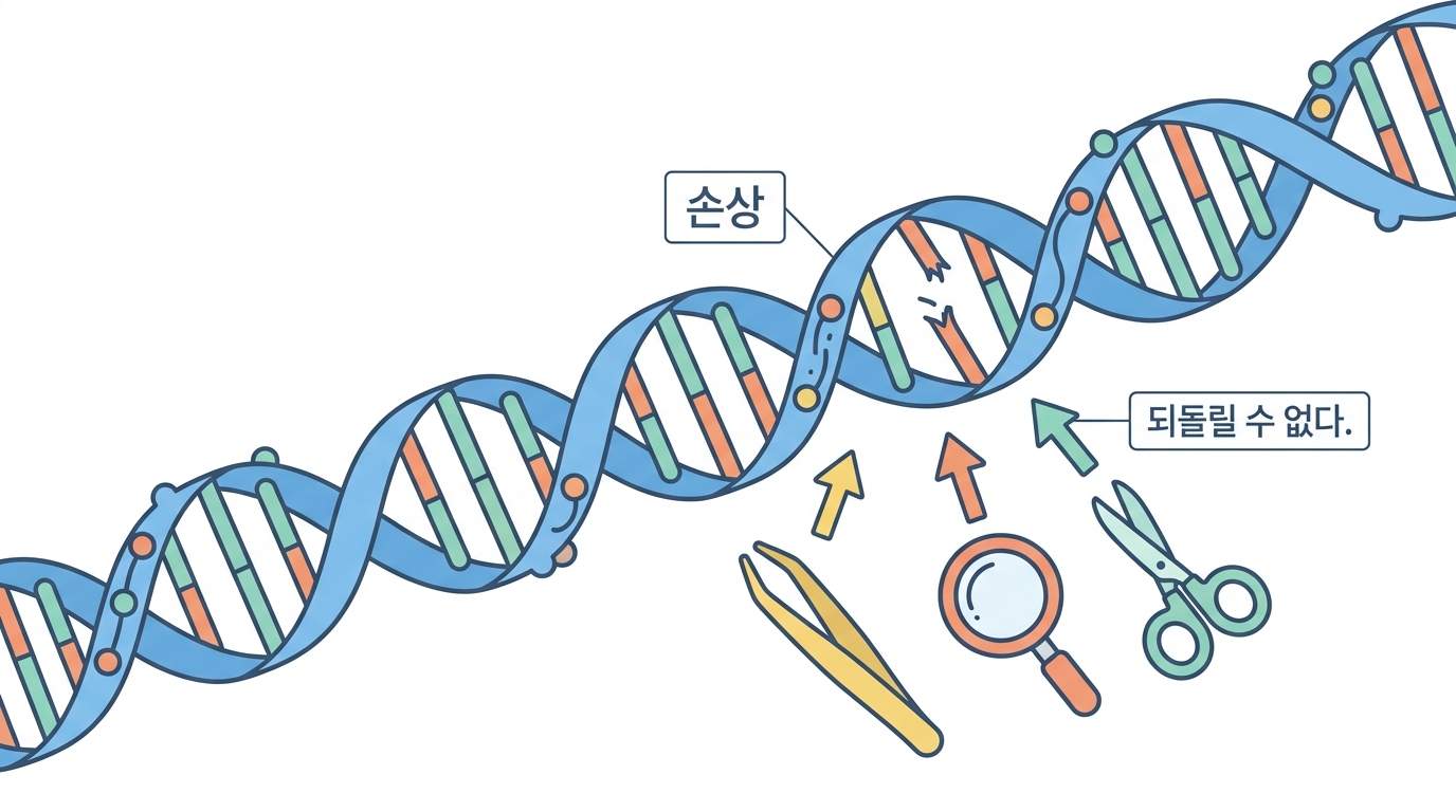 유전독성 — DNA 를 건드리는가