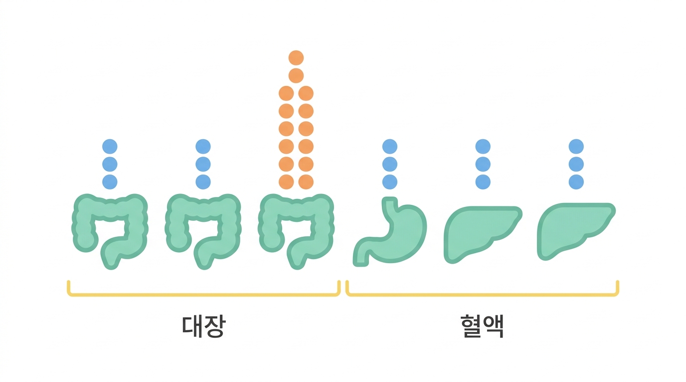 MSI 는 대장에 몰려 있다 — 교란